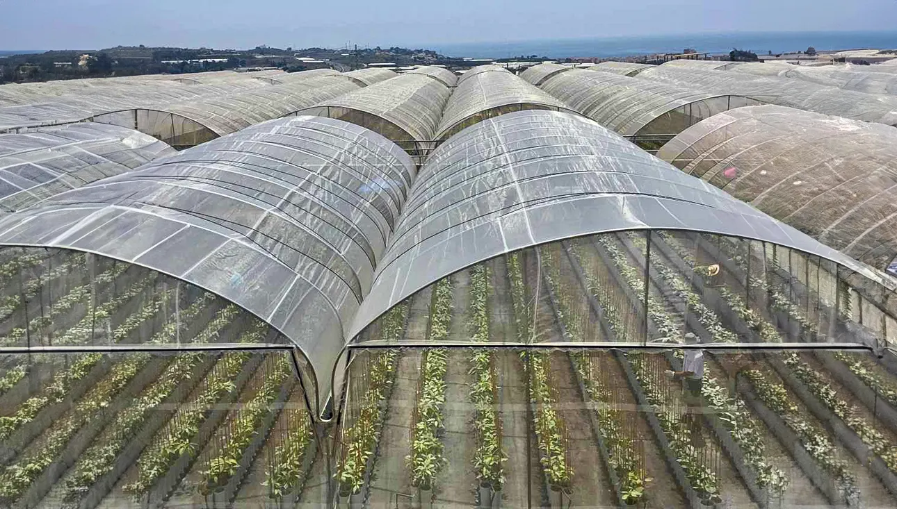 macrotunel-maravilla