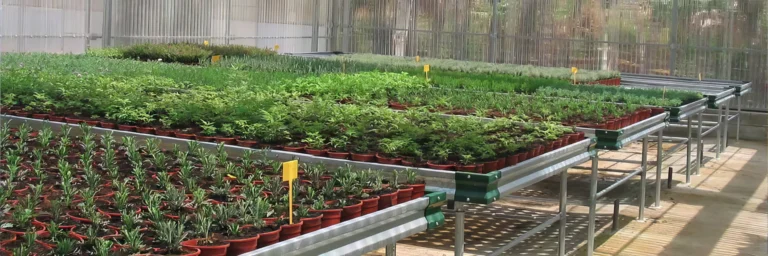 mese-de-cultivare-bg